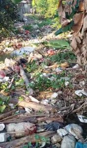 Aliran Air Kali di Desa Sukaringin Kering, Tersumbat Tumpukan Sampah. Petani Terancam Gagal Panen