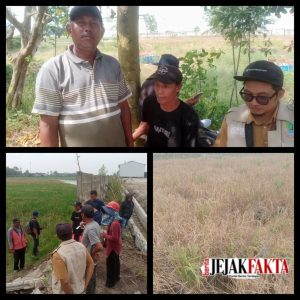 PT CSK Berikan Ganti Rugi Sawah Petani Desa Sukaringin yang Rusak Akibat Tercemar Limbah